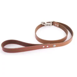 Martin Sellier - Chien - Laisse cuir Flash couture fluo