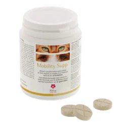 Mobility Supp chat, chien