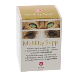 Mobility Supp chat, chien