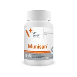 Munisan chat, chien