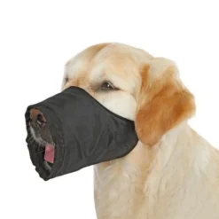 Muselière Nylon chien