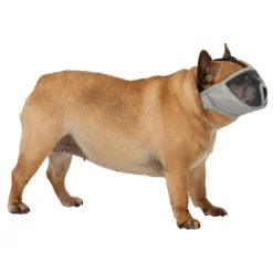 Muselière pour museau court chien