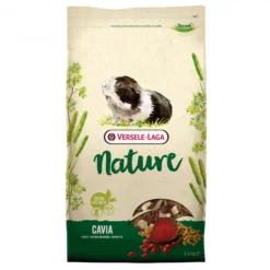 Nature Cavia rongeur