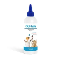 Ophtalis chien, chat