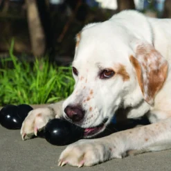 Os Extreme Goodie Bone Kong jouet à mâcher ultra résistant chien