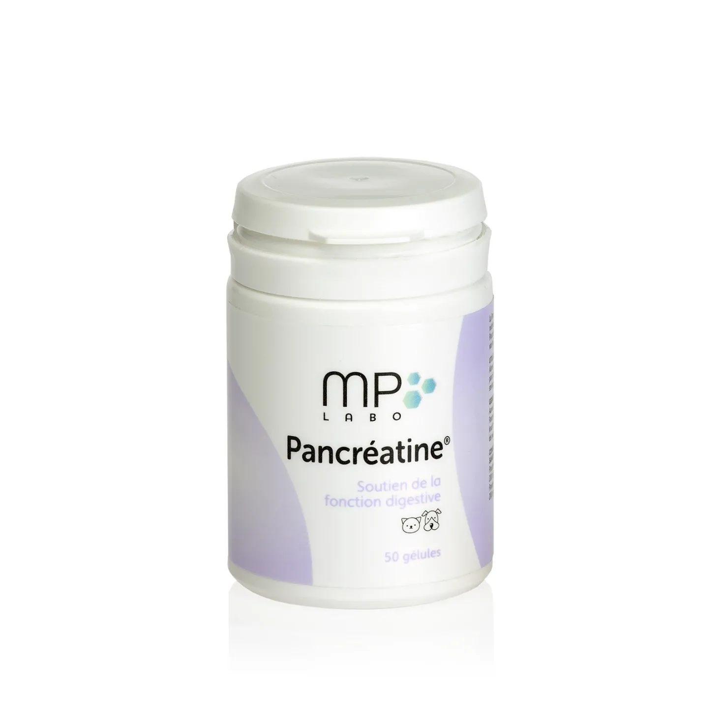 Pancreatine chat, chien