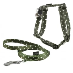 Parure harnais & laisse Pretty - Vert sauge