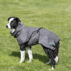 Peignoir de bain chien