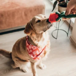 Peluche en forme de rose chien