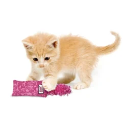 Peluche Kickeroo de Kong chaton