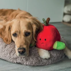 Peluche pomme chien