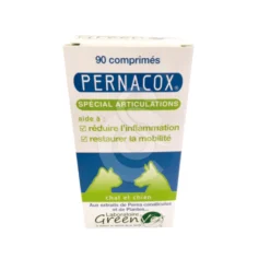 Pernacox chat, chien