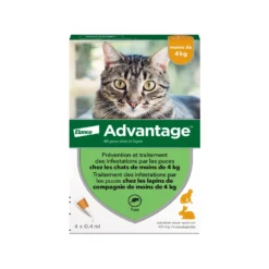 Pipettes Advantage chat, lapin
