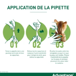 Pipettes Advantage chat, lapin