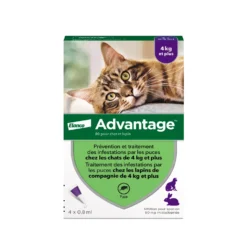 Pipettes Advantage chat, lapin