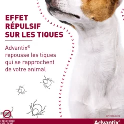 Pipettes Advantix chien