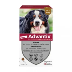Pipettes Advantix chien