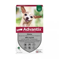 Pipettes Advantix chien