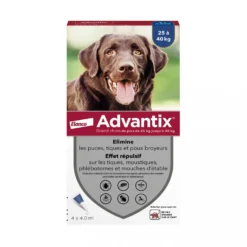 Pipettes Advantix chien