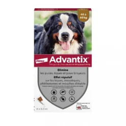 Pipettes Advantix chien