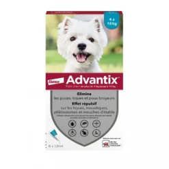 Pipettes Advantix chien