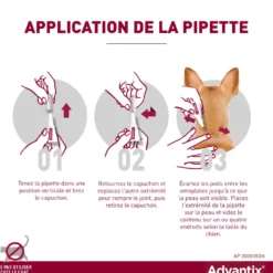 Pipettes Advantix chien