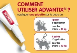 Pipettes Advantix chien