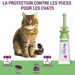 Pipettes anti-puces Vectra Felis chat