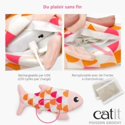 Poisson électronique Groovy chat