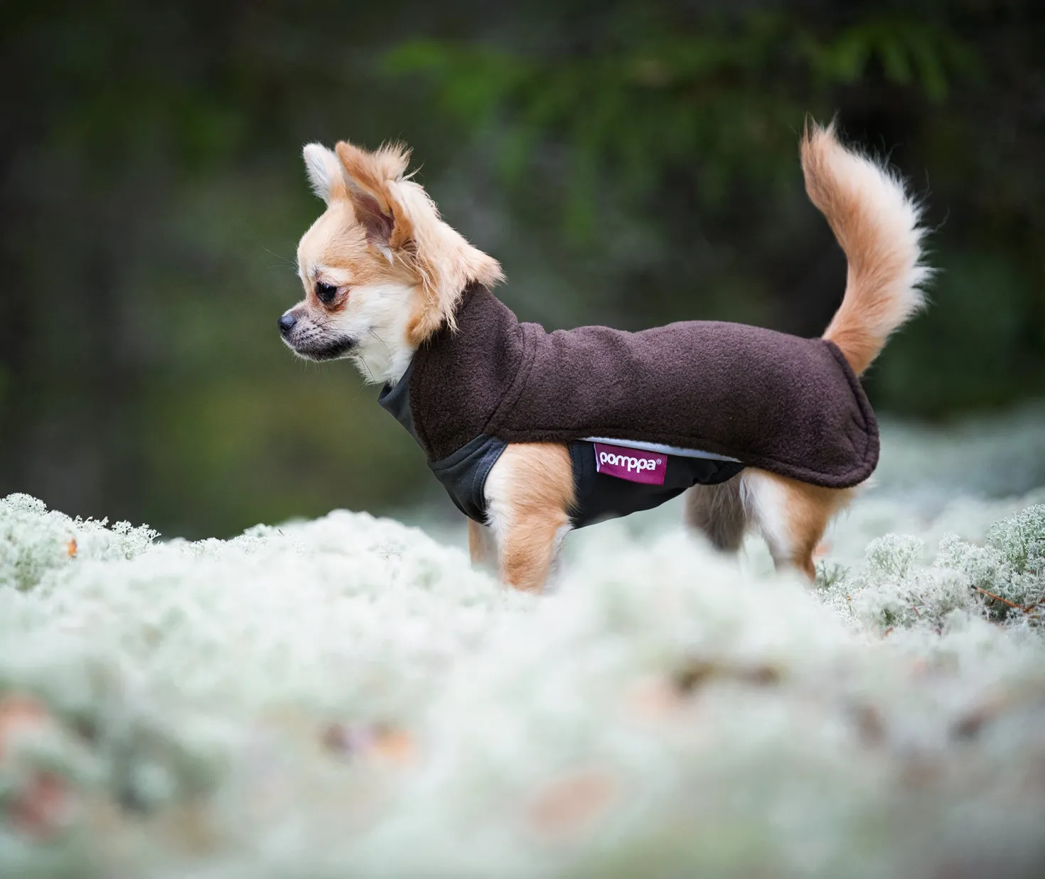 Pomppa Jumppa Chocolat manteau polaire chien