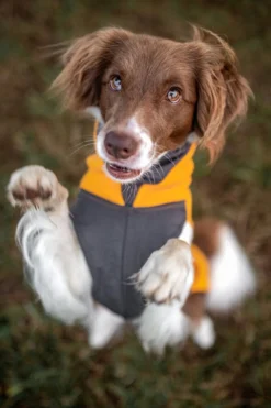 Pomppa Jumppa Curry manteau polaire chien