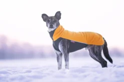 Pomppa Jumppa Curry manteau polaire chien