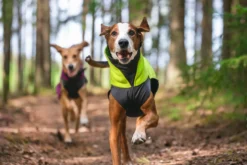 Pomppa Jumppa manteau polaire Lime chien