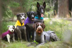 Pomppa Jumppa manteau polaire pour chien Dandelion