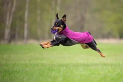 Pomppa Jumppa Plum manteau polaire pour chien