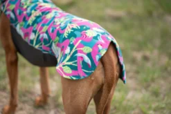 Pomppa Jumppa Trail manteau polaire chien