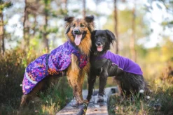 Pomppa Jumppa Violet manteau polaire chien