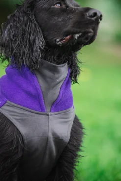 Pomppa Jumppa Violet manteau polaire chien