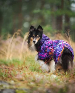 Pomppa Kevyt Cosmos manteau imperméable chien