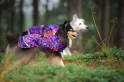 Pomppa Kevyt Cosmos manteau imperméable chien