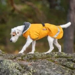 Pomppa Kevyt Dandelion manteau imperméable chien