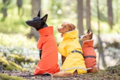 Pomppa Kevyt manteau imperméable pour chien Curry