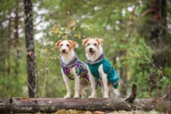 Pomppa Kevyt manteau imperméable pour chien Forest