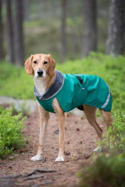 Pomppa Kevyt manteau imperméable pour chien Forest