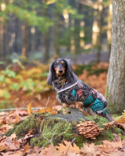 Pomppa Kevyt manteau imperméable pour chien Kartta