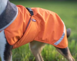Pomppa Kevyt manteau imperméable pour chien Orange