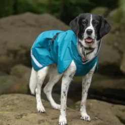 Pomppa Kevyt manteau imperméable pour chien Petrol