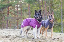 Pomppa Kevyt Plum manteau imperméable chien