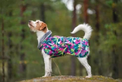 Pomppa Kevyt Trail manteau imperméable chien