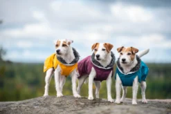 Pomppa Perus manteau imperméable pour chien Curry